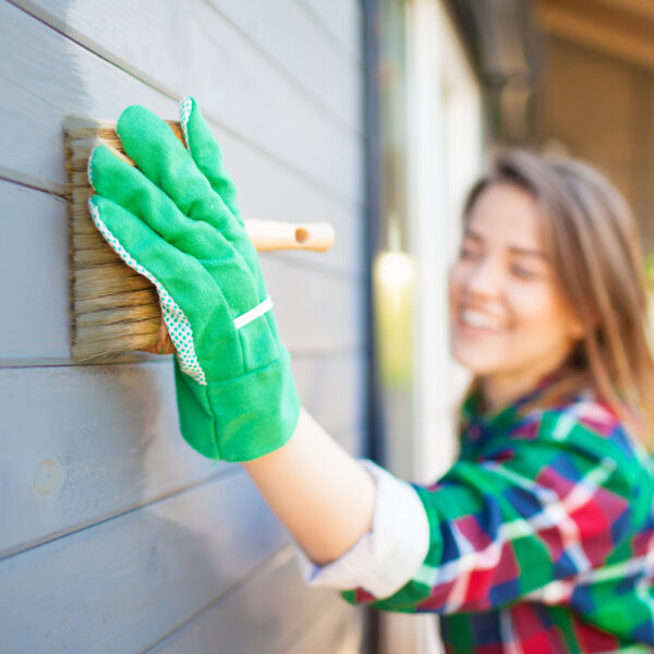 Exterior House Painting – Things to Know and Consider
