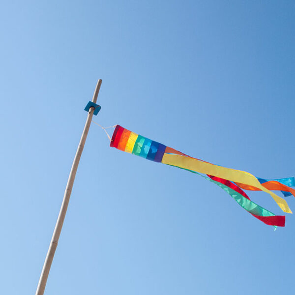 4 Pride flag windsocks that are perfect for your backyard