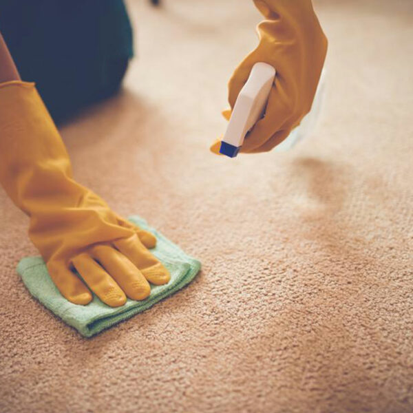 5 benefits of carpet cleaning services