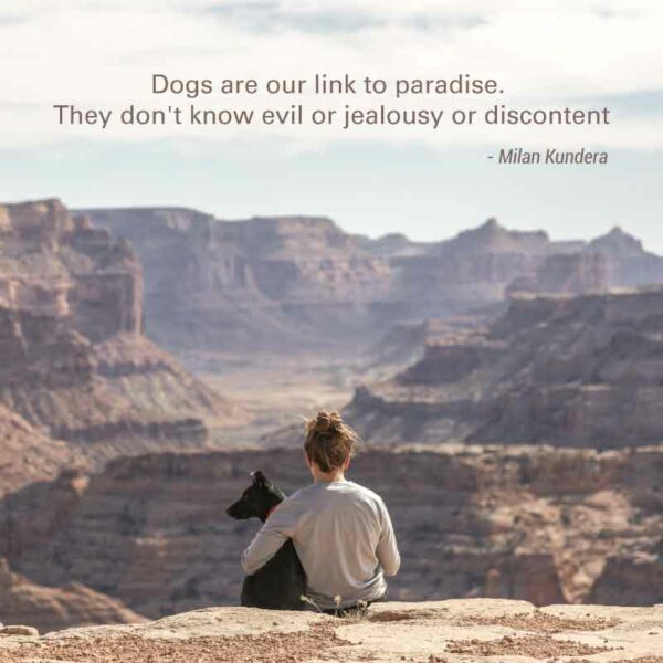 Dogs Are Our Link to Paradise. They Don’t Know Evil or Jealousy or Discontent