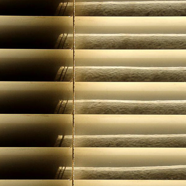 Here’s what the best blinds have to offer