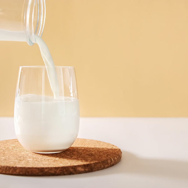 Lactose-free milk – Top 3 products