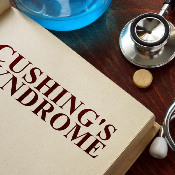 Cushing’s Disease in Dogs – Symptoms, Diagnosis, and Management