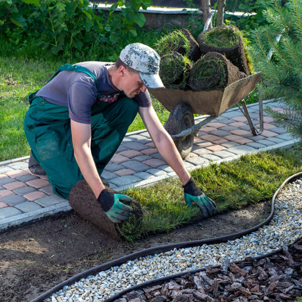 Landscaping Services – Types, Benefits, and Tips to Consider
